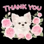 大人かわいい♡いぬと花のスタンプ