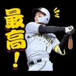 阪神タイガース