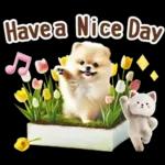 癒しポメラニアンの春のあいさつ