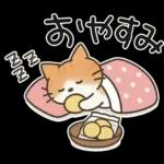 猫ちゃんとスイーツと夏