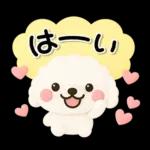 ず～っと使える♡かわいいトイプーさん♡白