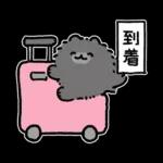 ハワイ大好きポメトーン