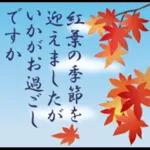 大人の季節のご挨拶・秋