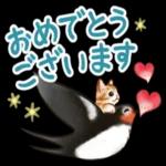 夏☆猫たちのスタンプ_-_