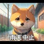 夏の天気をお知らせする柴犬【便利・日常】