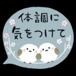 大人シンプル＊春ミルクティー