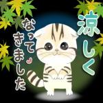 かわいい猫😺が来ますよ！
