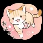 スナネコのサシャ 2