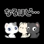 **ほのぼのにゃんこ**