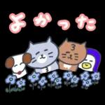 家族で使える秋の灰色キャット【猫】