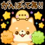 今日も一日お疲れ様でした