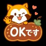 ほっこり秋タヌキ～～