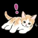 毎日ごろごろ☆猫たちのスタンプ