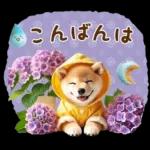 今日も頑張ったね！！