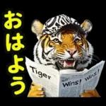 大阪神戸の野球好き虎ファン向け2