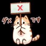 かわいい猫😺が来ますよ！