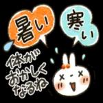 夏～秋「白うさぎさん」日常パック