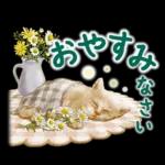 おやすみなさい