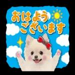 おは よう! AND NO