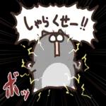 ニャー星人の楽園🤩🤩