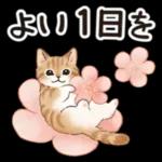  ゆっくり休んで、お大事にして。。。