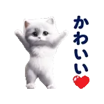 踊る！ペルシャ猫