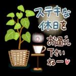 1000*
おやすみ~
O
また明日ねっ