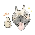 【動く】毎日使えるフレンチブルドッグ