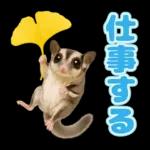 フクロモモンガ❤実りの秋は大豊作