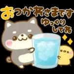 熱中症に気をつけて🫠🫠🫠