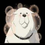 アニメキャラクターコレクション