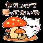 秋の気づかいのできるネコ♪飛び出す！