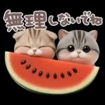 ねこちぃず♡夏スタンプ