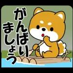 体が大事です👩🏻‍⚕️👩🏻‍⚕️👩🏻‍⚕️