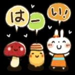 夏ー秋「白うさぎさん」