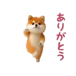 🧸「可愛い」だけじゃ	足りない！💕
