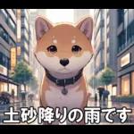 夏の天気をお知らせする柴犬【便利・日常】
