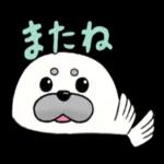 アザラシのましゅまろくん1