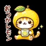 猫のつめあわせ④【ダジャレ】