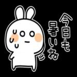 暑い夏のだるだるうさぎ