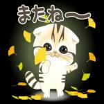 かわいい猫😺が来ますよ！