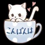 毎日使える♡大人可愛い