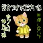 冬のキラキラおめめの子猫ちゃん