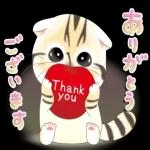 かわいい猫😺が来ますよ！