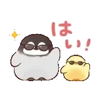 今すぐ安全を確認して！