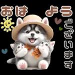 夏 猛暑 酷暑♡シベリアンハスキーとネコ