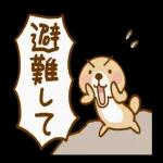 突撃！ラッコさん 非常時専用