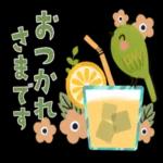 今日の癒しと元気をお届けますよ〜