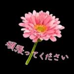 午後はちょっと休憩～～	前進の原動力😆😆😆