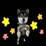 かわいい黒柴くんの敬語🐶